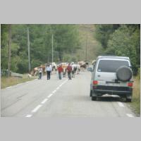 DSC08708_Und noch einer.JPG